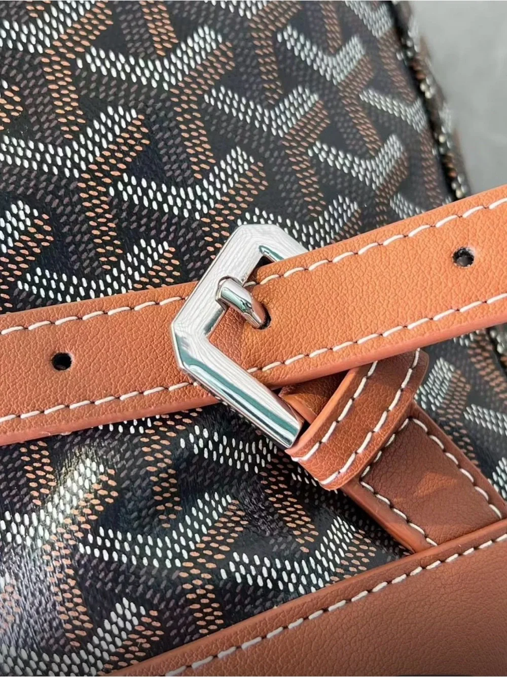 Goyard Brown Printed Canvas & Leather Tote Backpack - Luxury Style